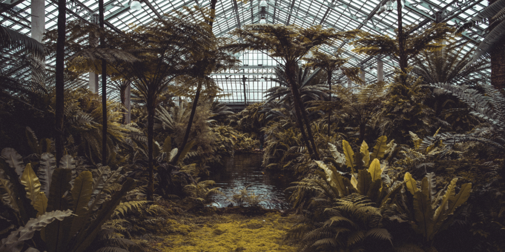 como preservar os recursos naturais
