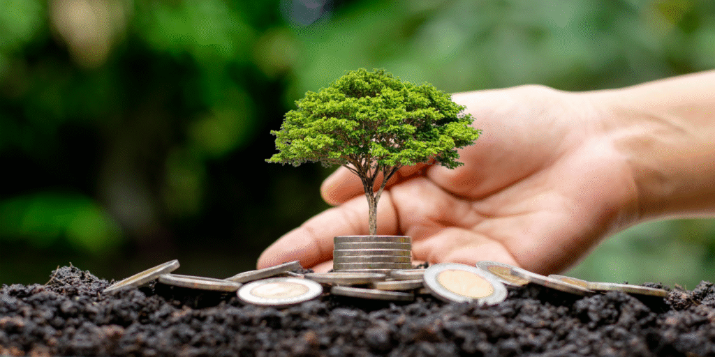 Tipos de sustentabilidade
