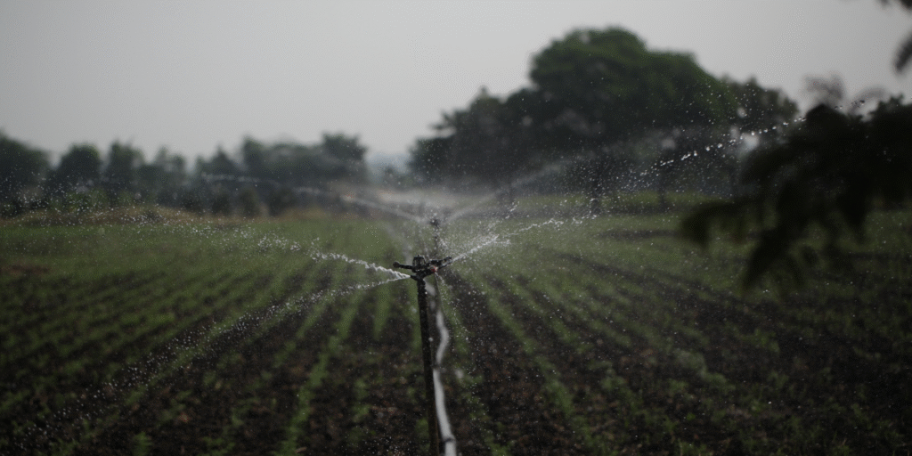 tendências sustentáveis
