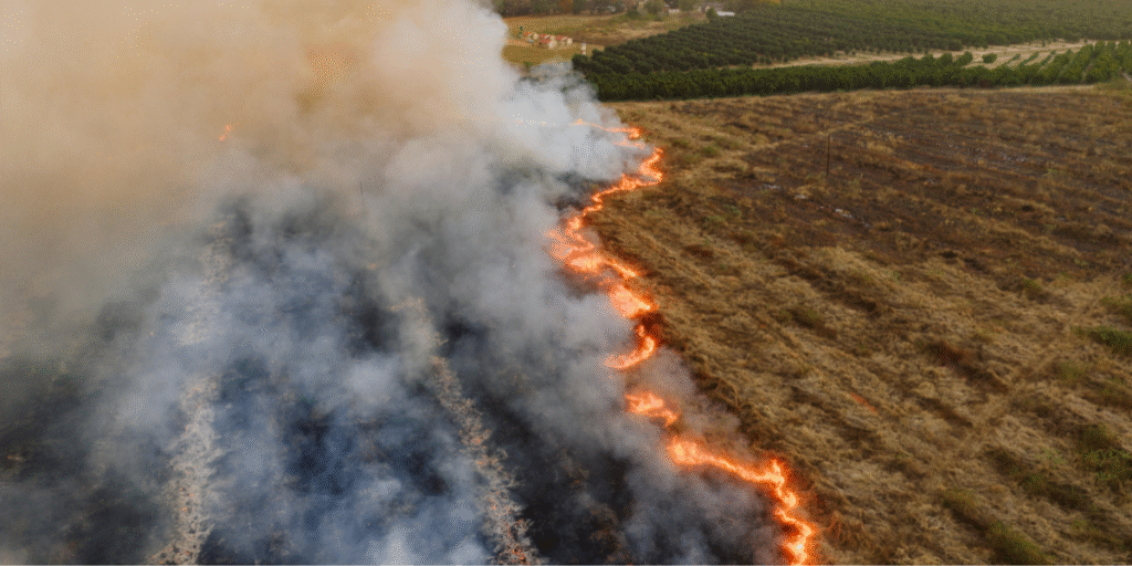 mudanças climáticas
