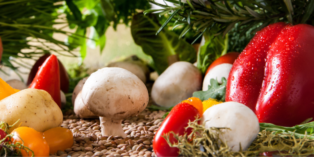 produção de alimentos orgânicos