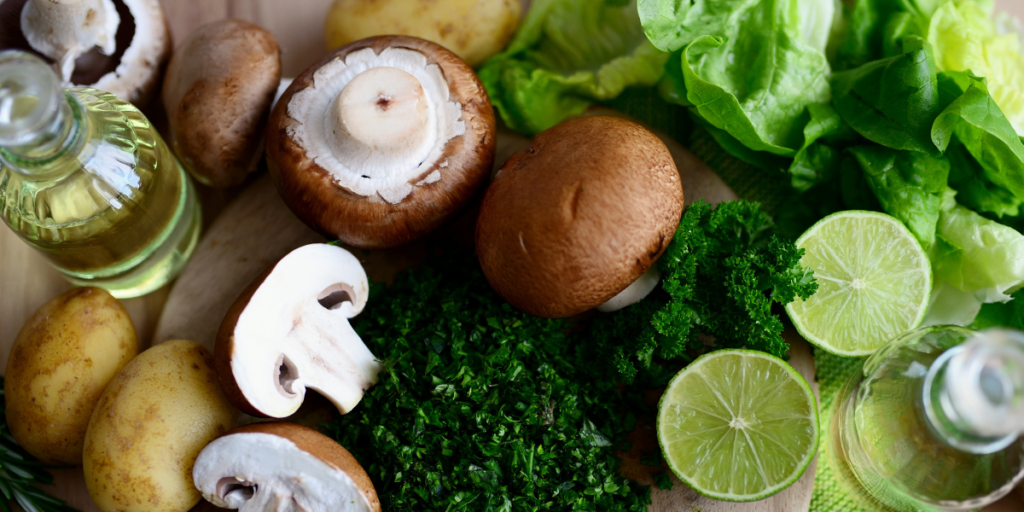 produção de alimentos orgânicos
