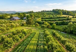 agrofloresta
